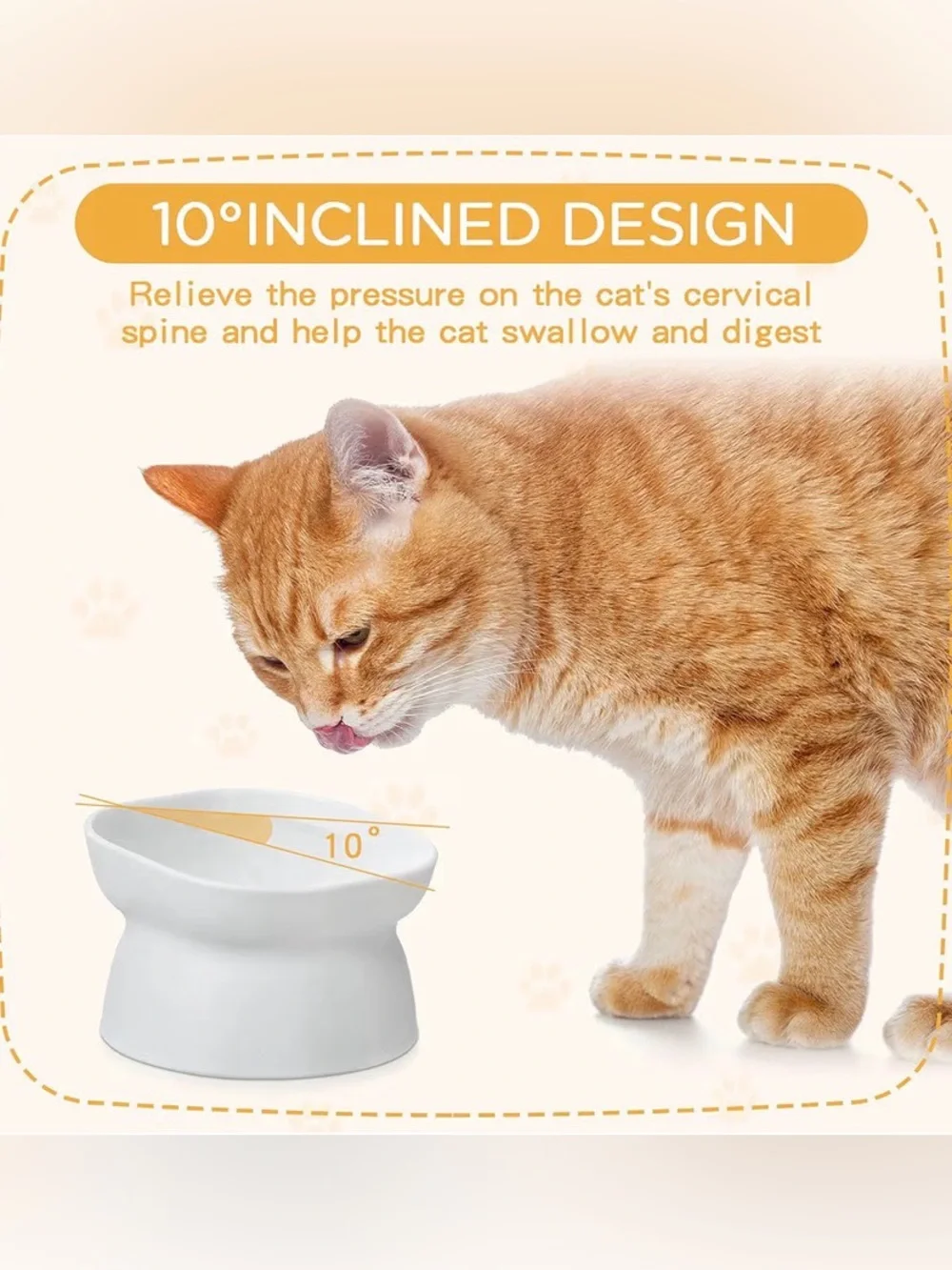 Cat Food and Water Bowls Tilted Elevated Raised Plastic Feeding Dishes Set of 4